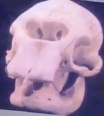 Mystery Hunters, Season 2 Episode 22 image