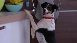 Love Island, Season 2 Episode 38 image