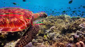 Our Planet, Season 1 Episode 4 image