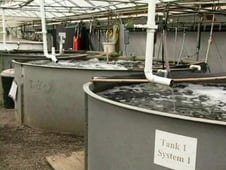 Gourmet's Diary of a Foodie, Season 1 Episode 6 image