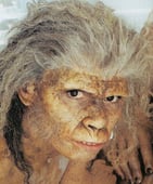 Walking with Cavemen, Season 1 Episode 3 image