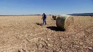 America's Heartland, Season 8 Episode 15 image