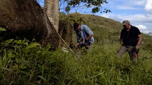 Lost Gold of WW2, Season 1 Episode 5 image