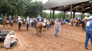 Little Britches Rodeo, Season 7 Episode 7 image