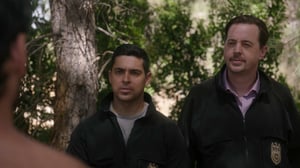 NCIS, Season 20 Episode 4 image