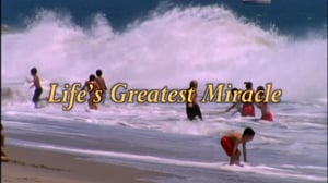 Nova, Season 28 Episode 17 image