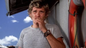 Hawaii Five-O, Season 6 Episode 4 image