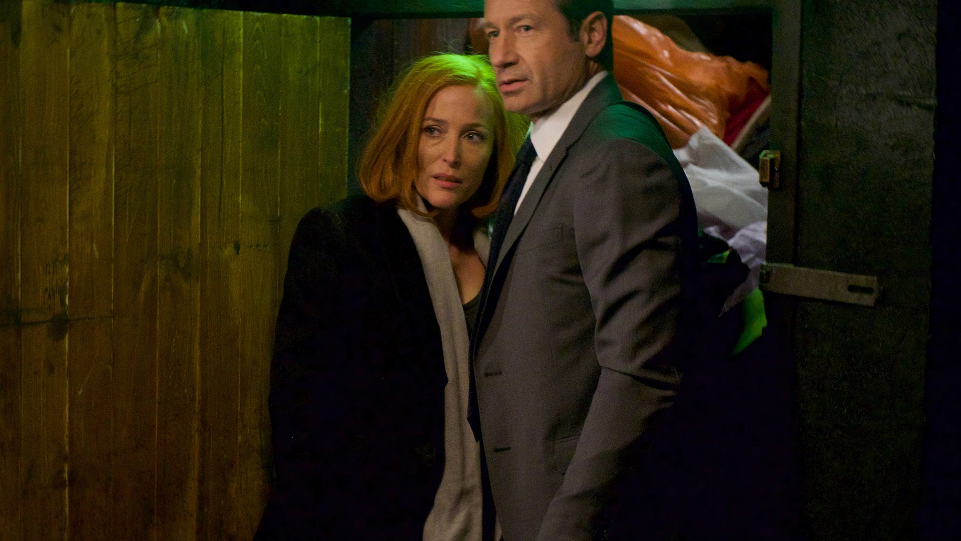 Gillian Anderson and David Duchovny, The X-Files