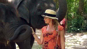 Tour Group, Season 1 Episode 8 image