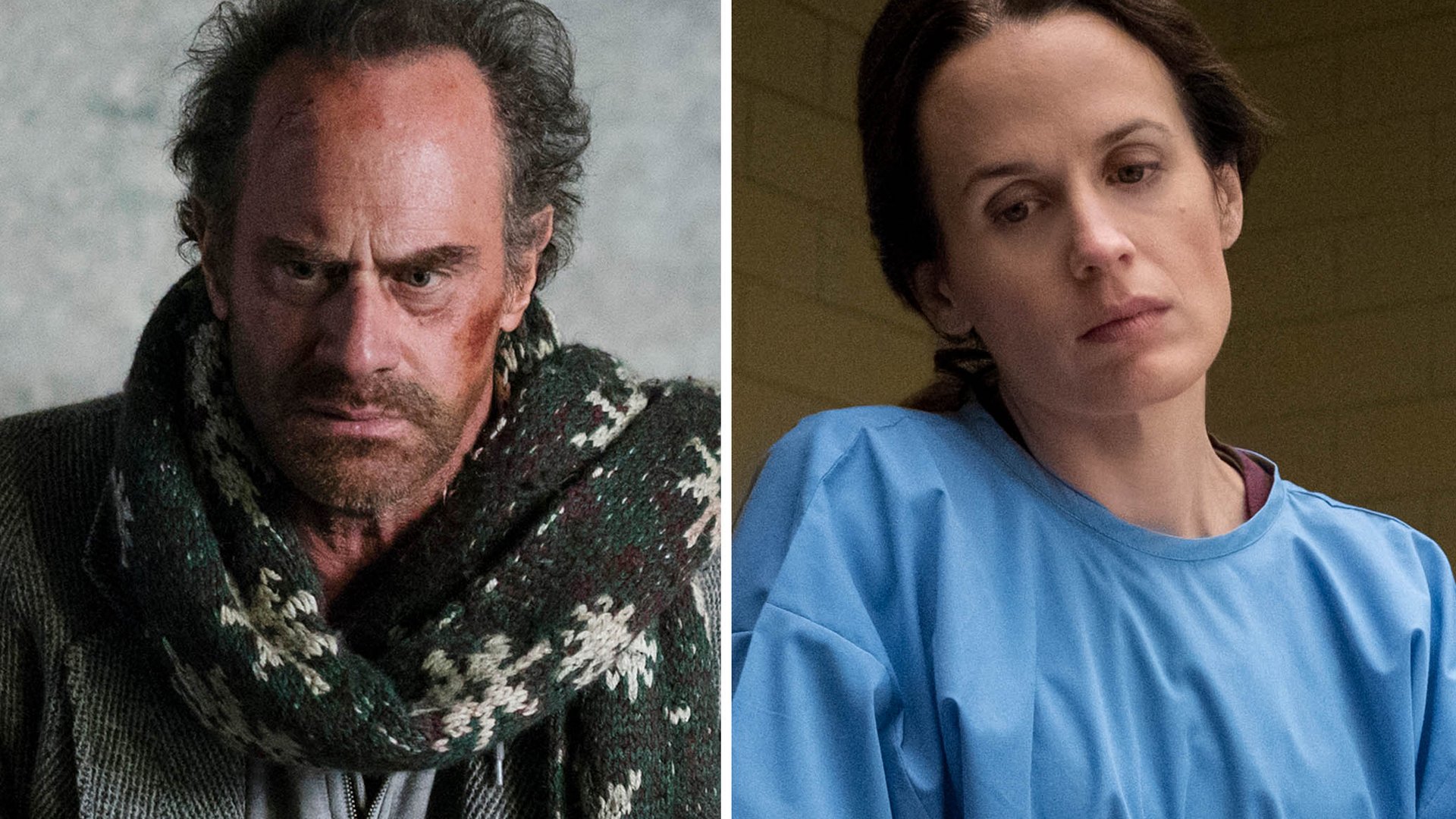 Christopher Meloni and Elizabeth Reaser