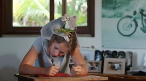 Izzy's Koala World, Season 1 Episode 2 image