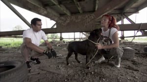 Pit Bulls and Parolees, Season 2 Episode 6 image