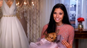 Say Yes to the Dress, Season 16 Episode 5 image