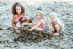 Jessie & the Gumboot Kids, Season 1 Episode 4 image