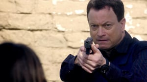 CSI: NY, Season 7 Episode 22 image