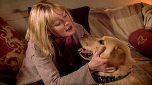 Outnumbered, Season 4 Episode 3 image