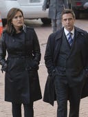 Law & Order: Special Victims Unit, Season 16 Episode 8 image