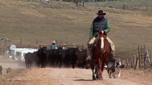 Last American Cowboy, Season 1 Episode 4 image