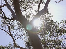 Soul Mates, Season 1 Episode 4 image