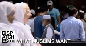 Dispatches, Season 20 Episode 16 image