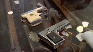 Pawn Stars, Season 3 Episode 16 image