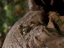 Cosmos: Possible Worlds, Season 1 Episode 2 image