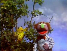 Sesame Street, Season 13 Episode 3 image