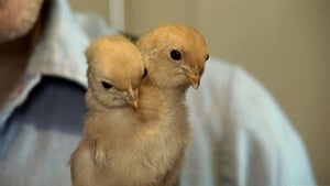 Storage Wars: Texas, Season 2 Episode 20 image