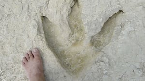 Monsterquest, Season 3 Episode 18 image