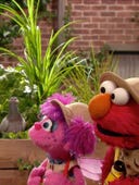 Sesame Street, Season 41 Episode 9 image