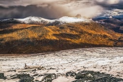 Secrets in the Ice, Season 3 Episode 3 image