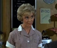 Mayberry R.F.D., Season 3 Episode 15 image