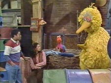 Sesame Street, Season 12 Episode 110 image