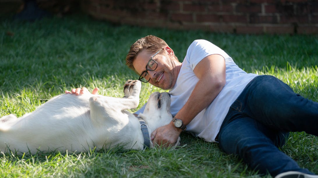 Gonker and Rob Lowe, Dog Gone