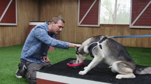 Lucky Dog, Season 4 Episode 21 image