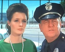 The Felony Squad, Season 3 Episode 11 image