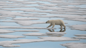 Hostile Planet, Season 1 Episode 6 image