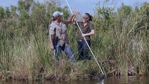 Swamp People, Season 3 Episode 7 image