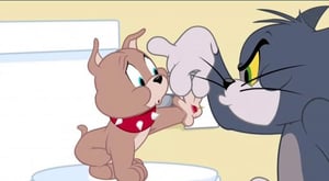 The Tom and Jerry Show, Season 2 Episode 17 image
