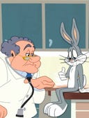 The Looney Tunes Show, Season 2 Episode 24 image