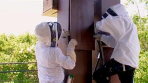 Billy the Exterminator, Season 5 Episode 1 image