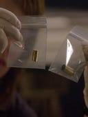 CSI: NY, Season 7 Episode 5 image