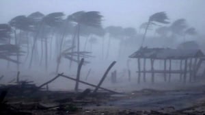 Nova, Season 41 Episode 3 image