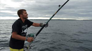 Wicked Tuna, Season 6 Episode 10 image