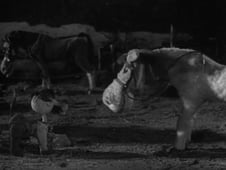 Four Feather Falls, Season 1 Episode 38 image