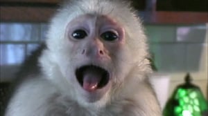 Bad Dog!, Season 1 Episode 2 image