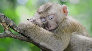 Brainchild, Season 1 Episode 4 image