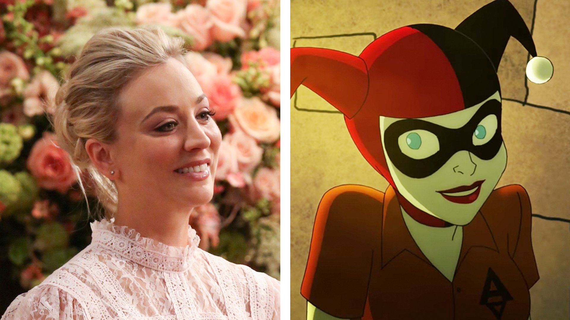 Kaley Cuoco, The Big Bang Theory, Harley Quinn, Harley Quinn
