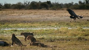 Savage Kingdom, Season 3 Episode 2 image