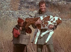 M*A*S*H, Season 1 Episode 12 image